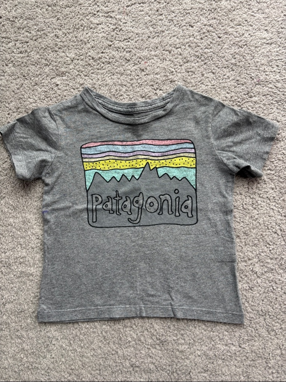 Patagonia 100% cotton gray t-shirt